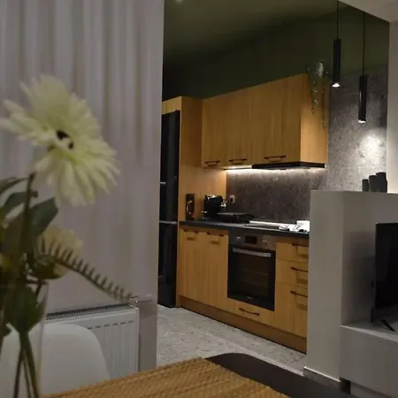 House * 카르디차